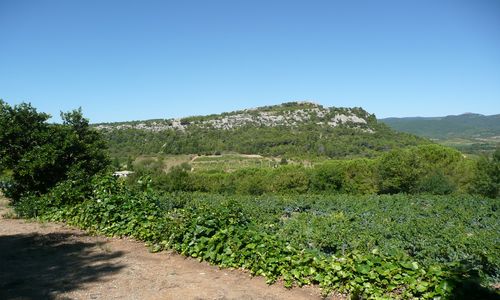 OENORANDO® DE NOTRE-DAME DE NAZARETH Saint-Chinian Occitanie