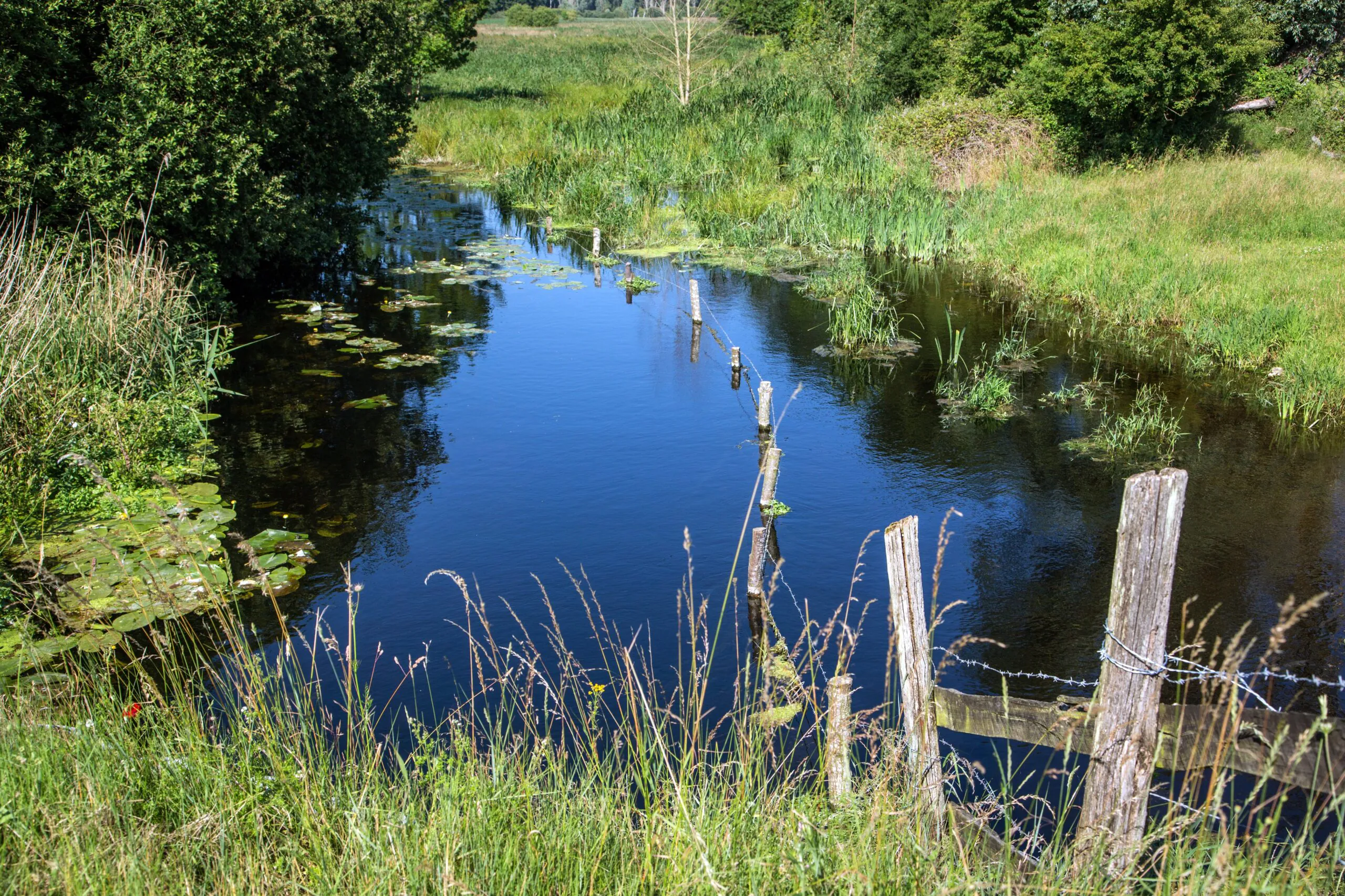 Sentier nature de Douy Cloyes-les-Trois-Rivières Centre-Val de Loire