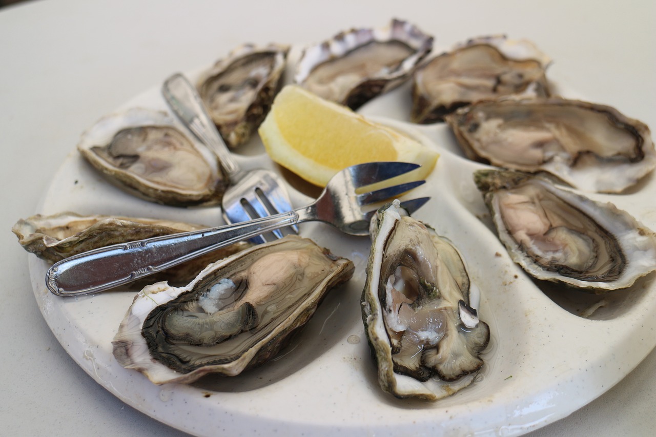 Soirée Fruits de mer à Saint-Michel l'Ecluse et Léparon