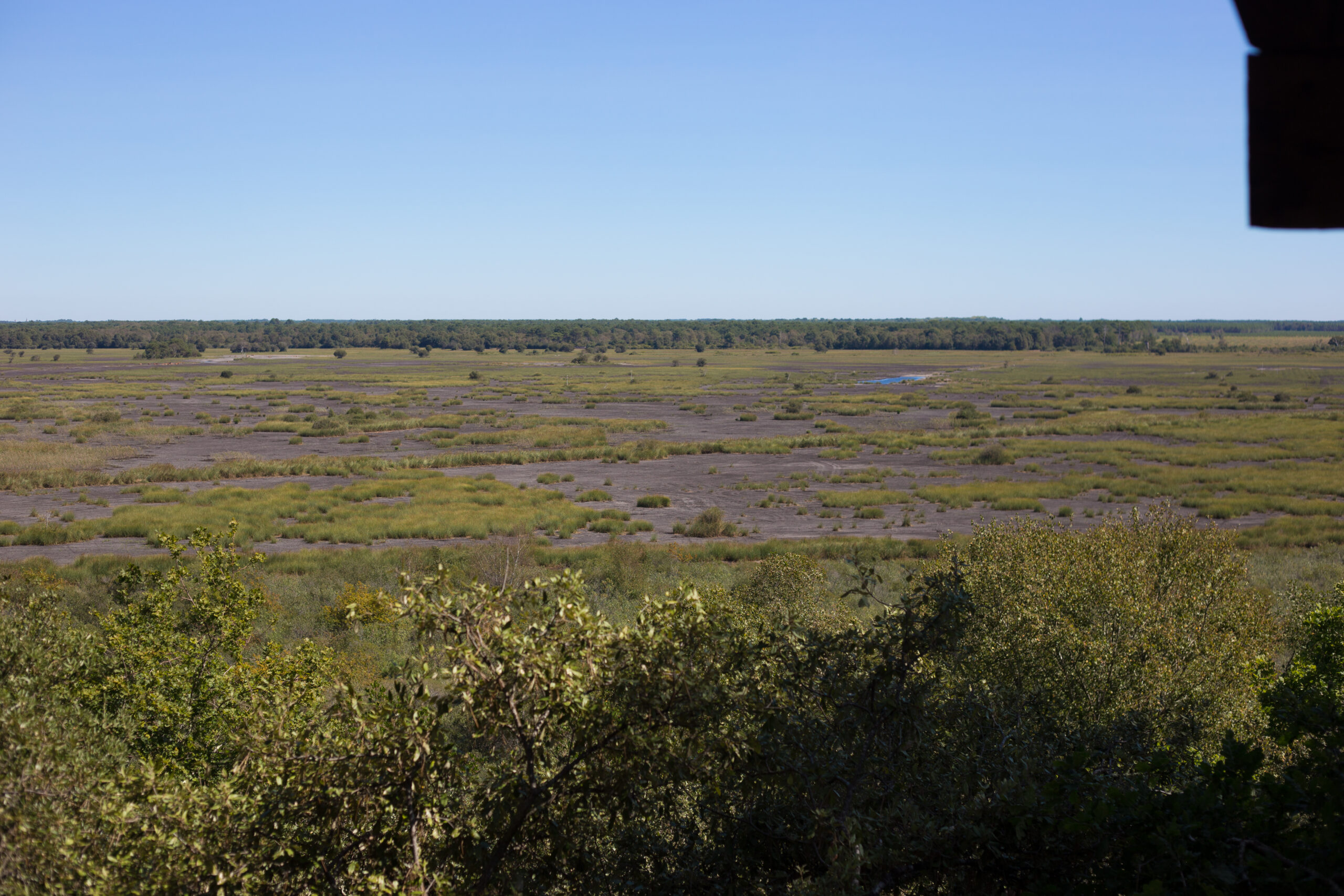 Le sentier de la Réserve Naturelle de l’étang de Cousseau Lacanau Nouvelle-Aquitaine