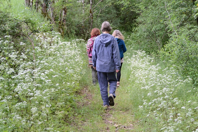 Randonnée à COLY organisée par Les Pieds dans l’herbe.