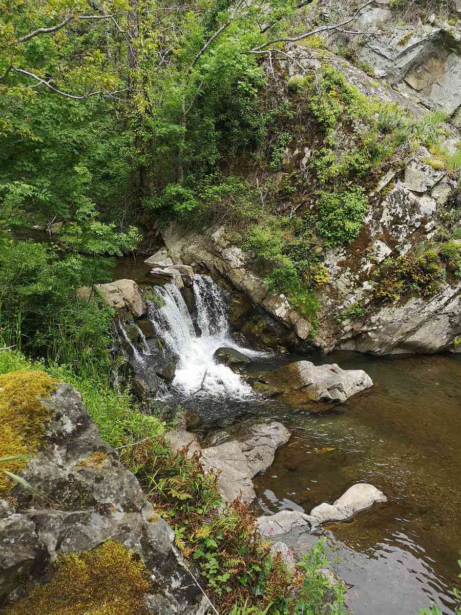 RANDONNÉE LE BOIS DES GARDES Ferrals-les-Montagnes Occitanie