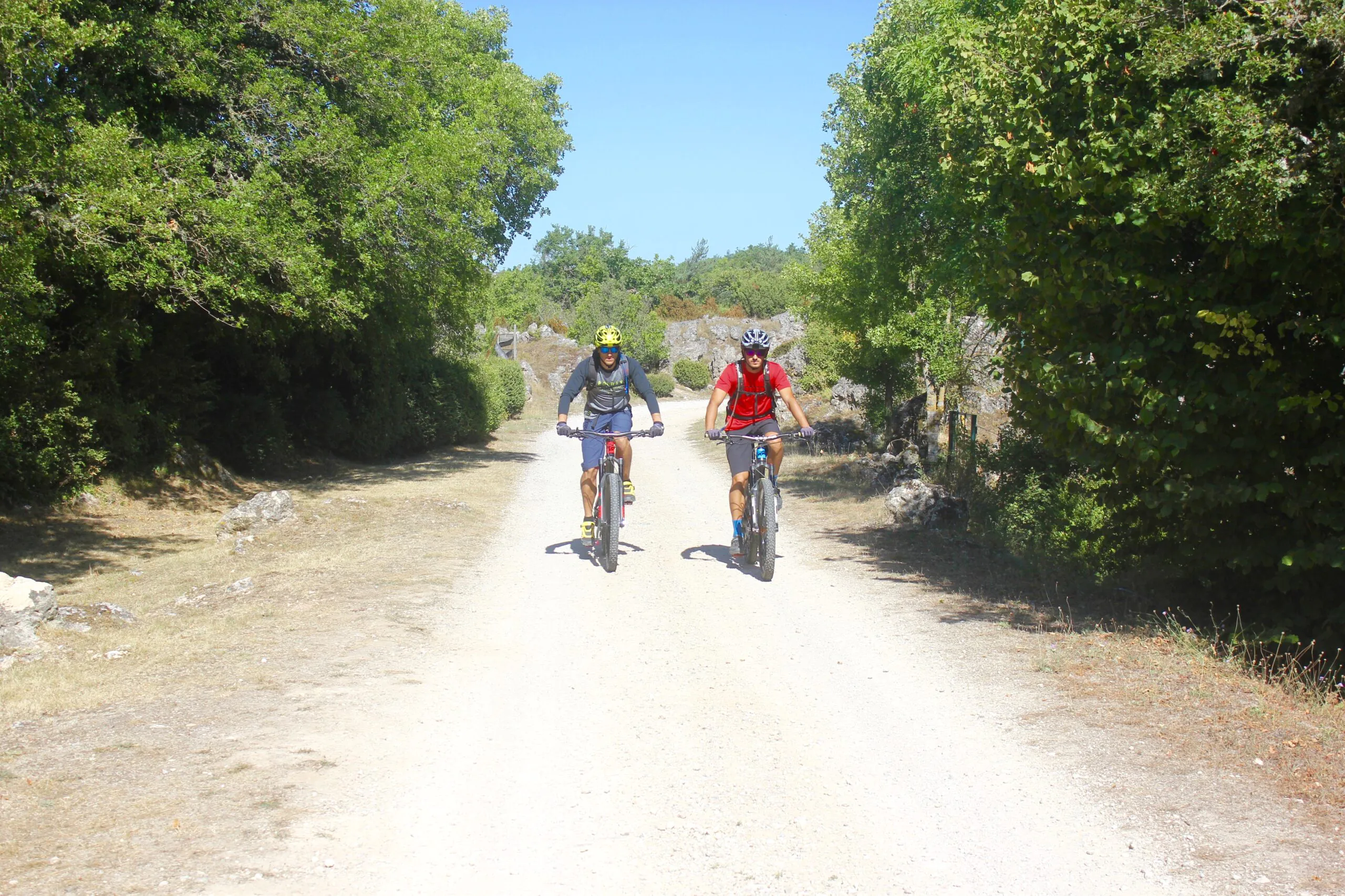 CIRCUIT LE TOUR DE FAVET ESPACE VTT-FFC LODÉVOIS ET LARZAC Le Caylar Occitanie