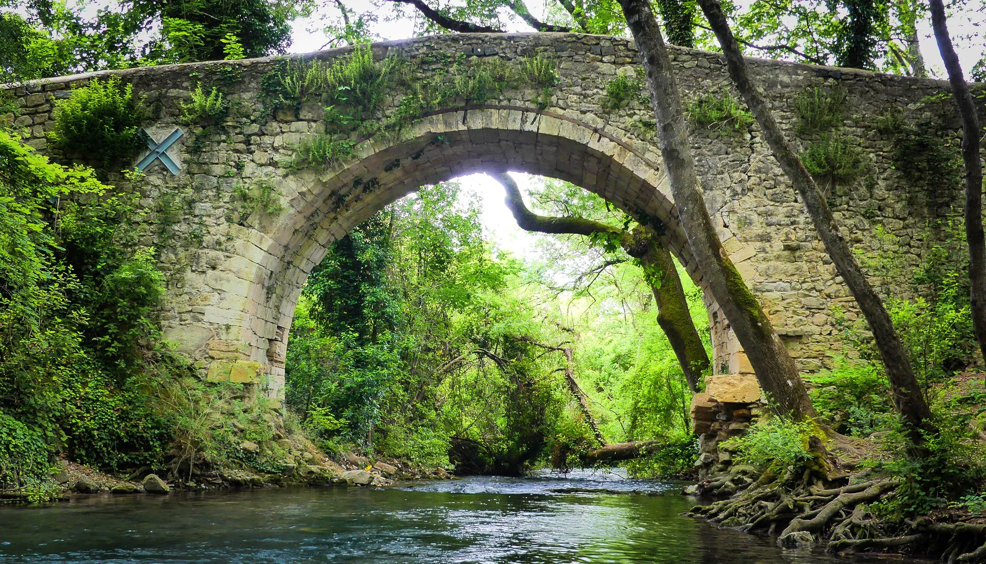 RANDONNEE DU BOIS DE SAINT SAUVEUR Saint-Clément-de-Rivière Occitanie