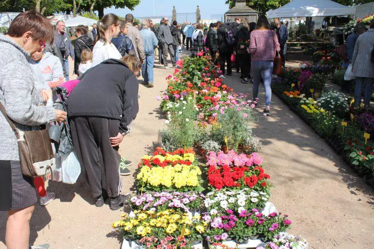 12ÈME FÊTE DES PLANTES