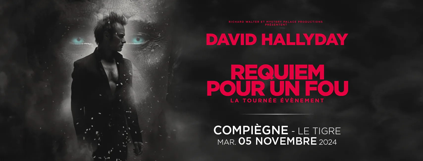 David Hallyday Requiem pour un fou