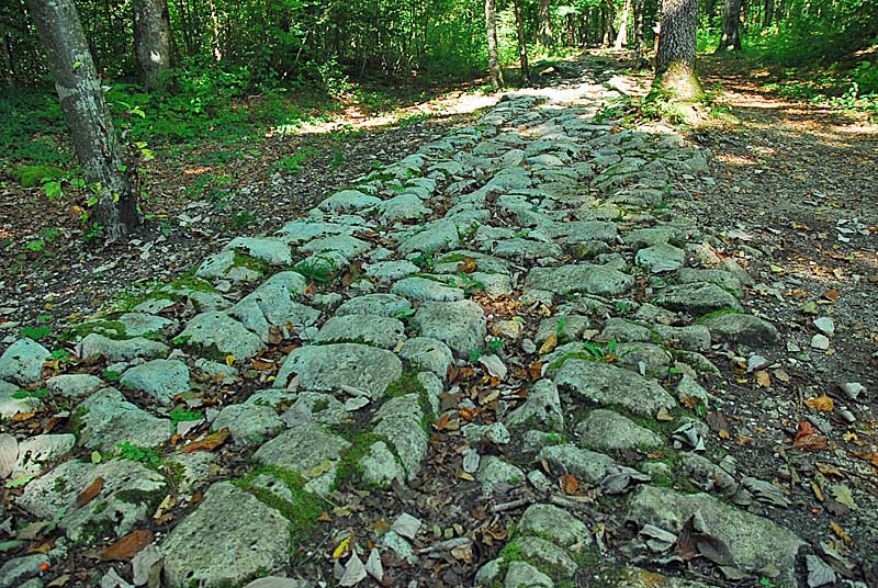 SENTIER DE DECOUVERTE DU MAUSOLEE GALLO-ROMAIN Faverolles Grand Est