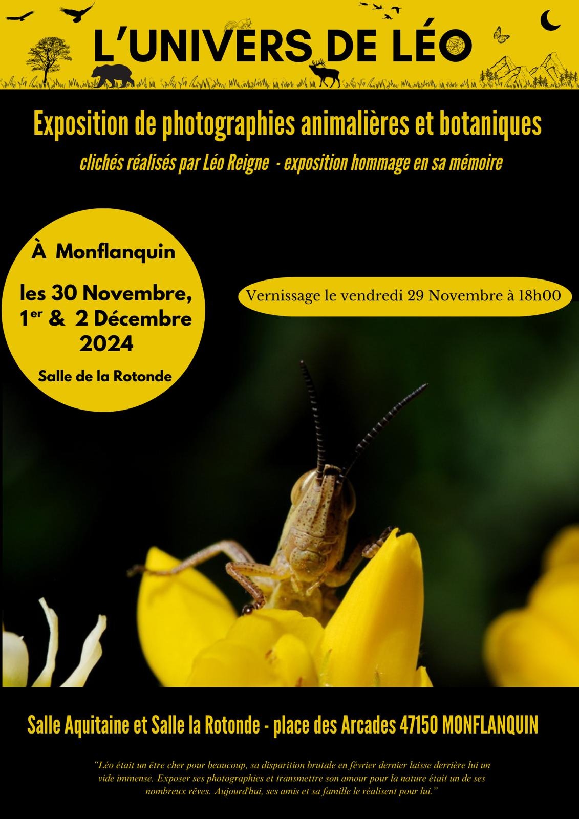 Exposition de photographies L'Univers de Léo