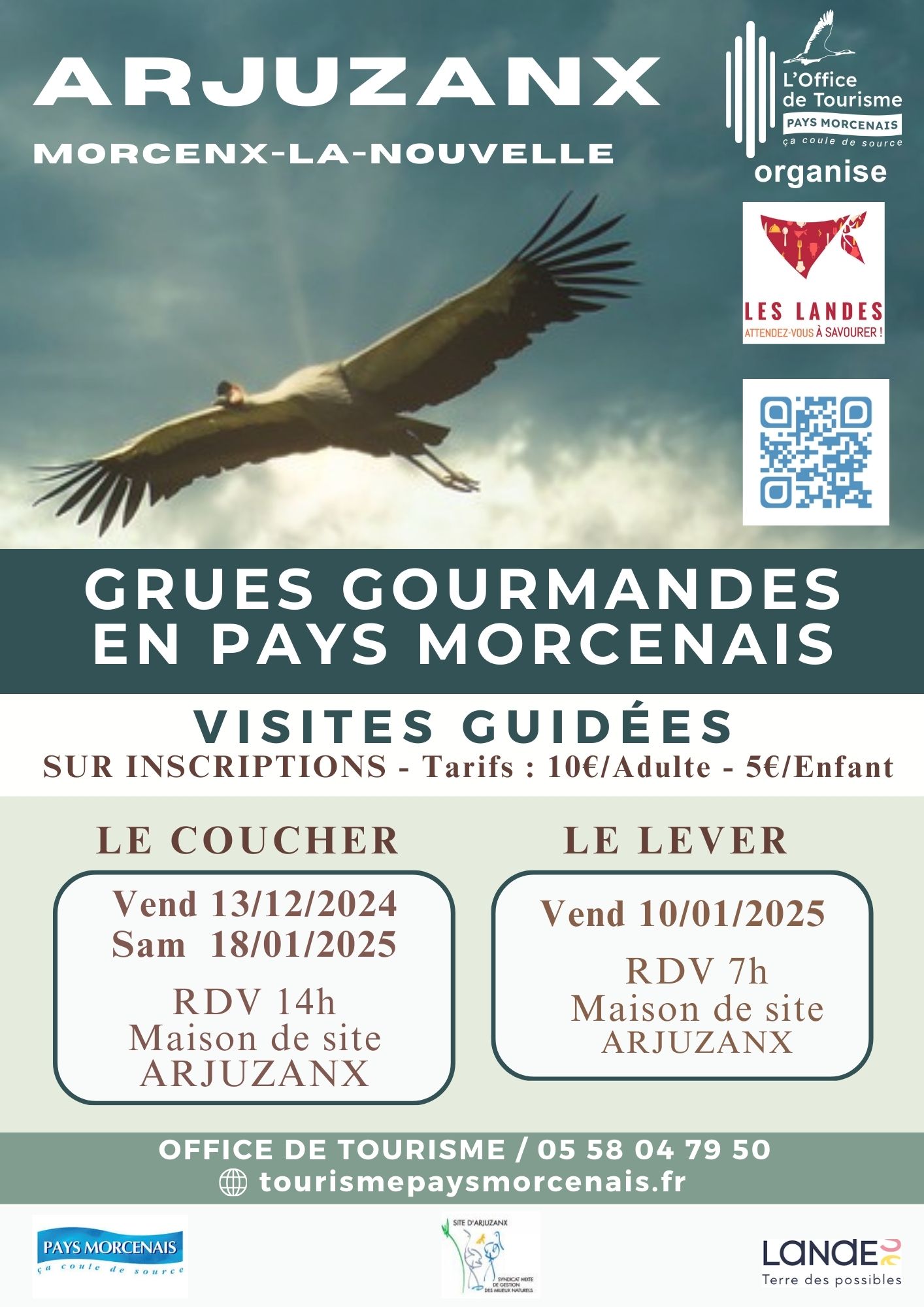 Les grues gourmandes en Pays Morcenais Le coucher