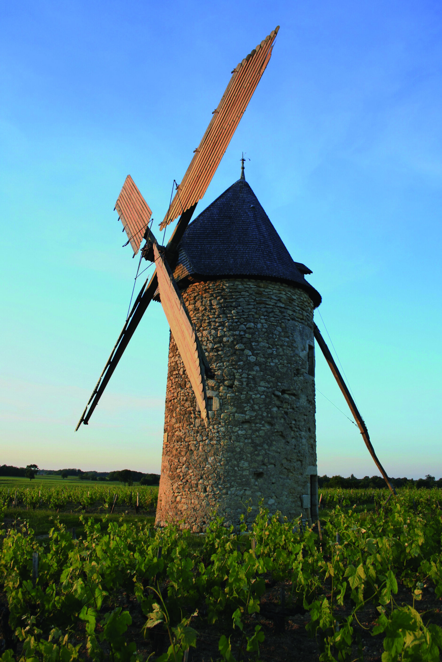 La Blaignanaise Blaignan-Prignac Nouvelle-Aquitaine