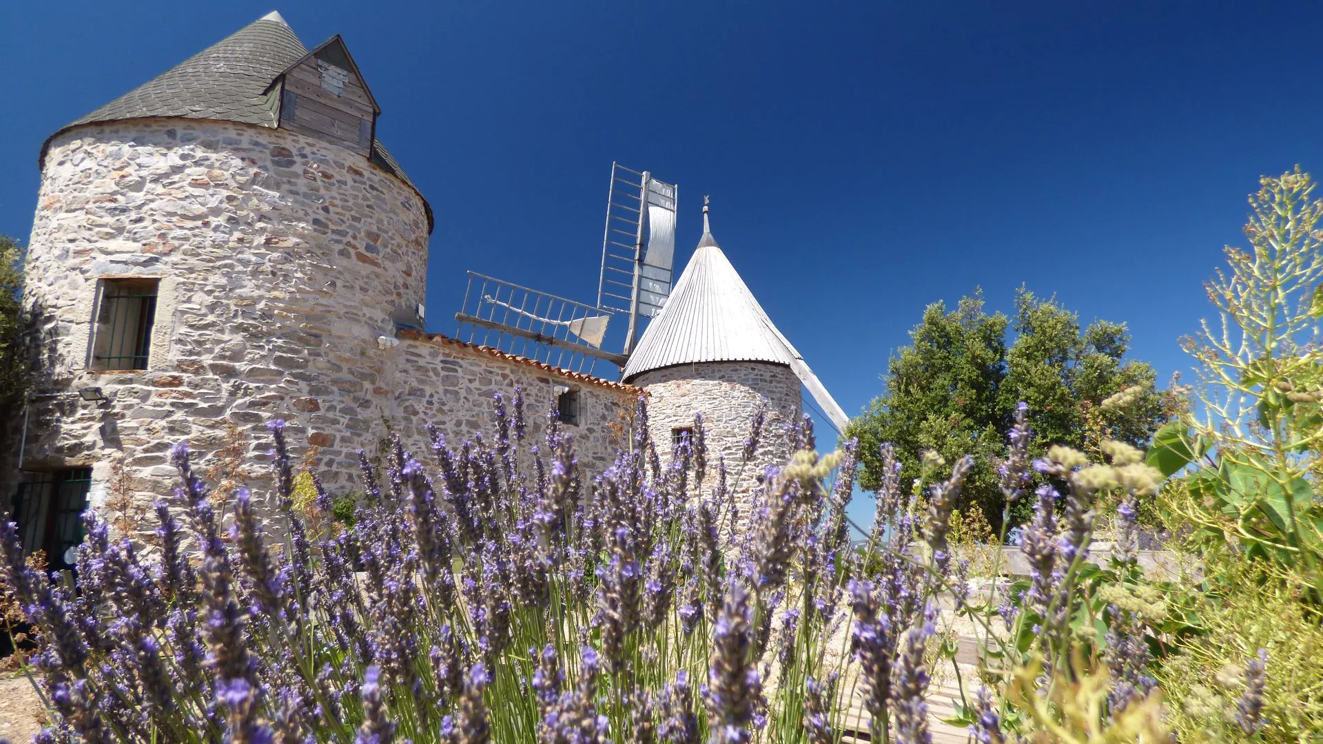 BOUCLE CYCLO N°17 LES MAGNIFIQUES ROUTES DE FAUGÈRES Faugères Occitanie