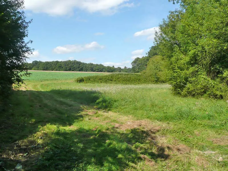 Sur les terres de la Pieta de Nouans Nouans-les-Fontaines Centre-Val de Loire