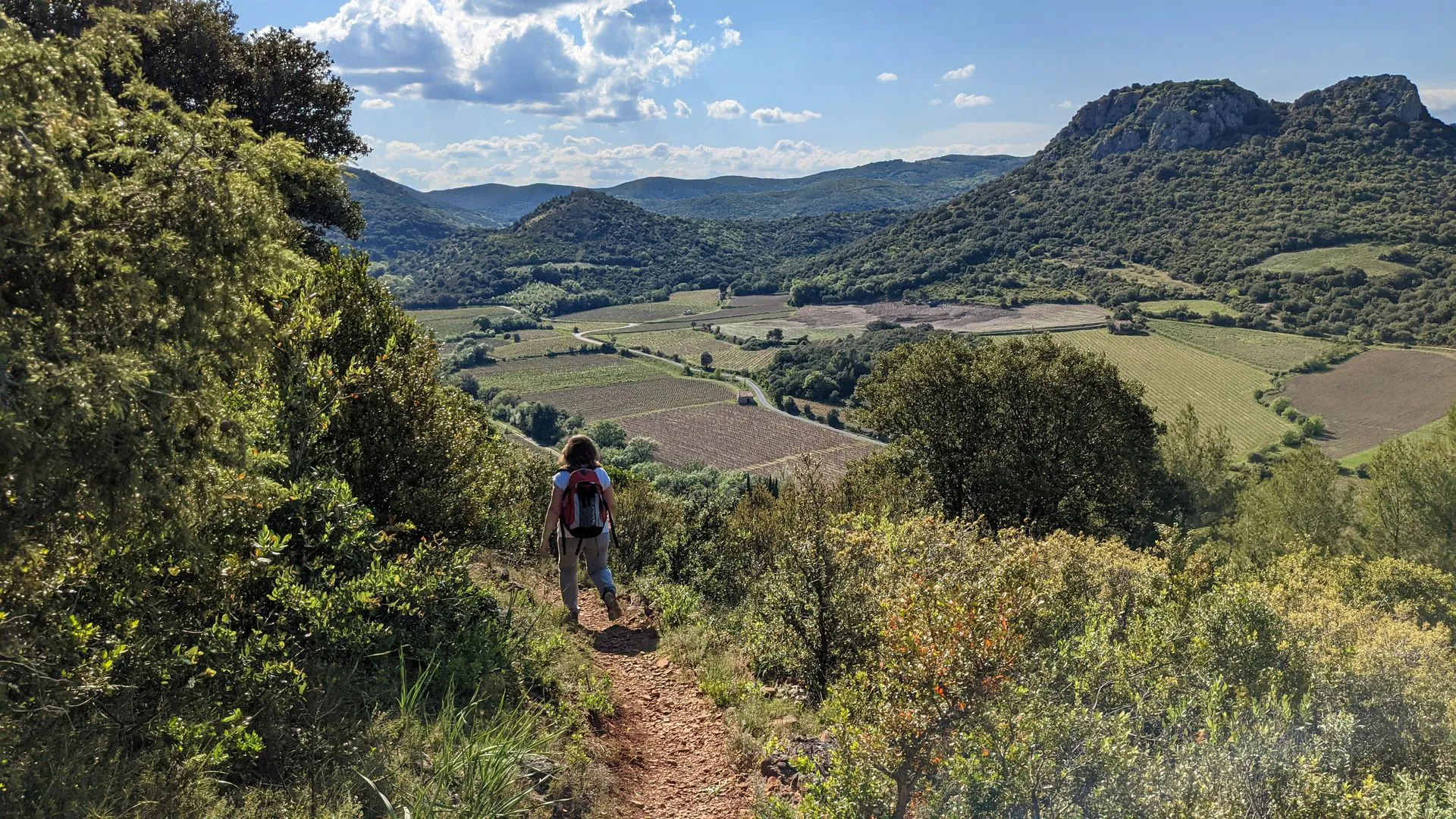 OENORANDO® DES DRAILLES DES CROZES Cabrières Occitanie