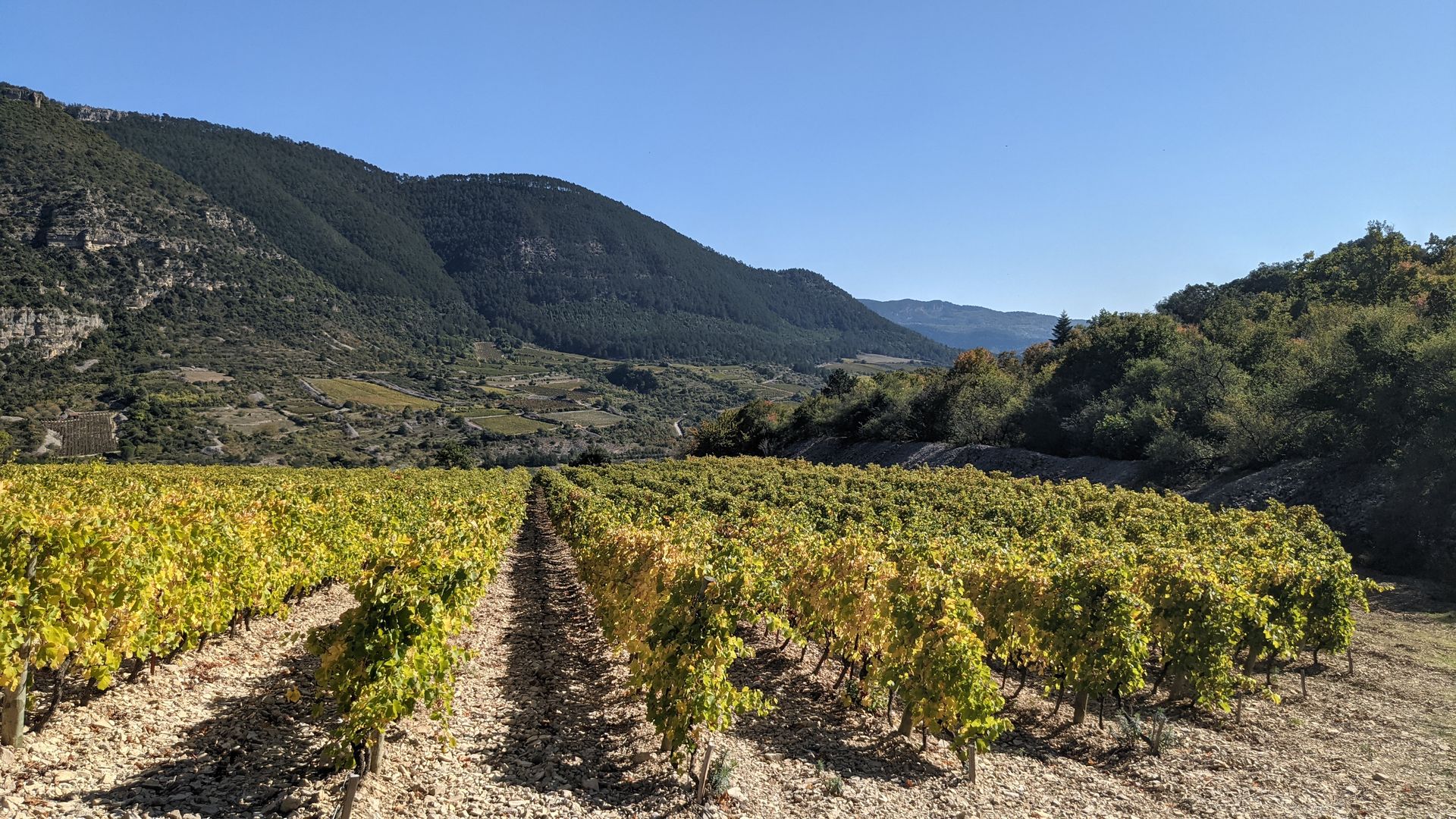 OENORANDO® LES TERRASSES DE PÉGAIROLLES Pégairolles-de-l'Escalette Occitanie
