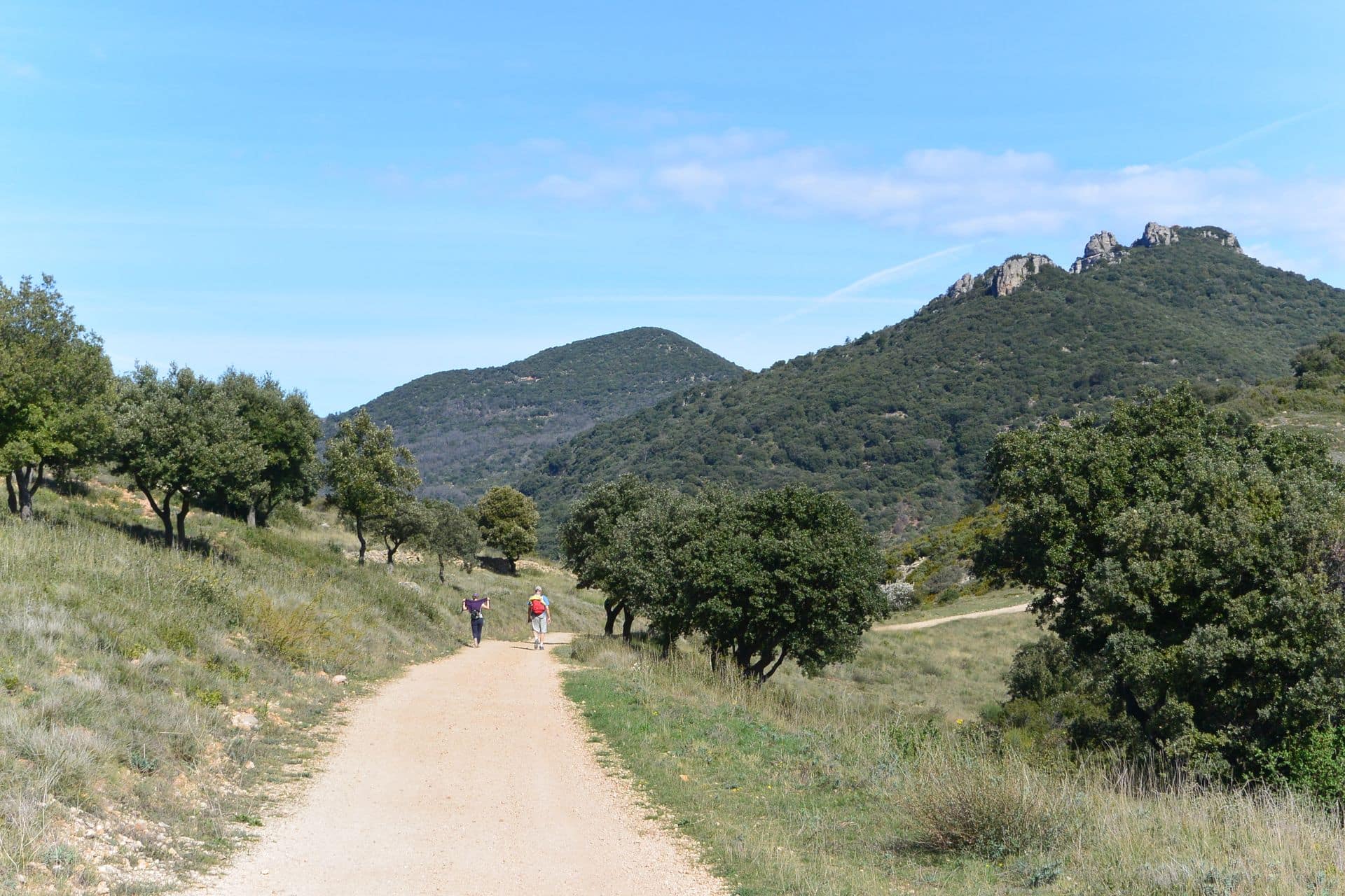 OENORANDO® DES VIGNES AU ROCHER DES VIERGES Saint-Saturnin-de-Lucian Occitanie