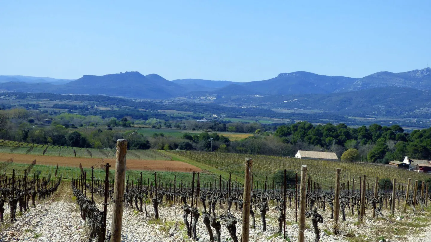 OENORANDO® DES TERROIRS DE GIGNAC ET D’ANIANE Gignac Occitanie