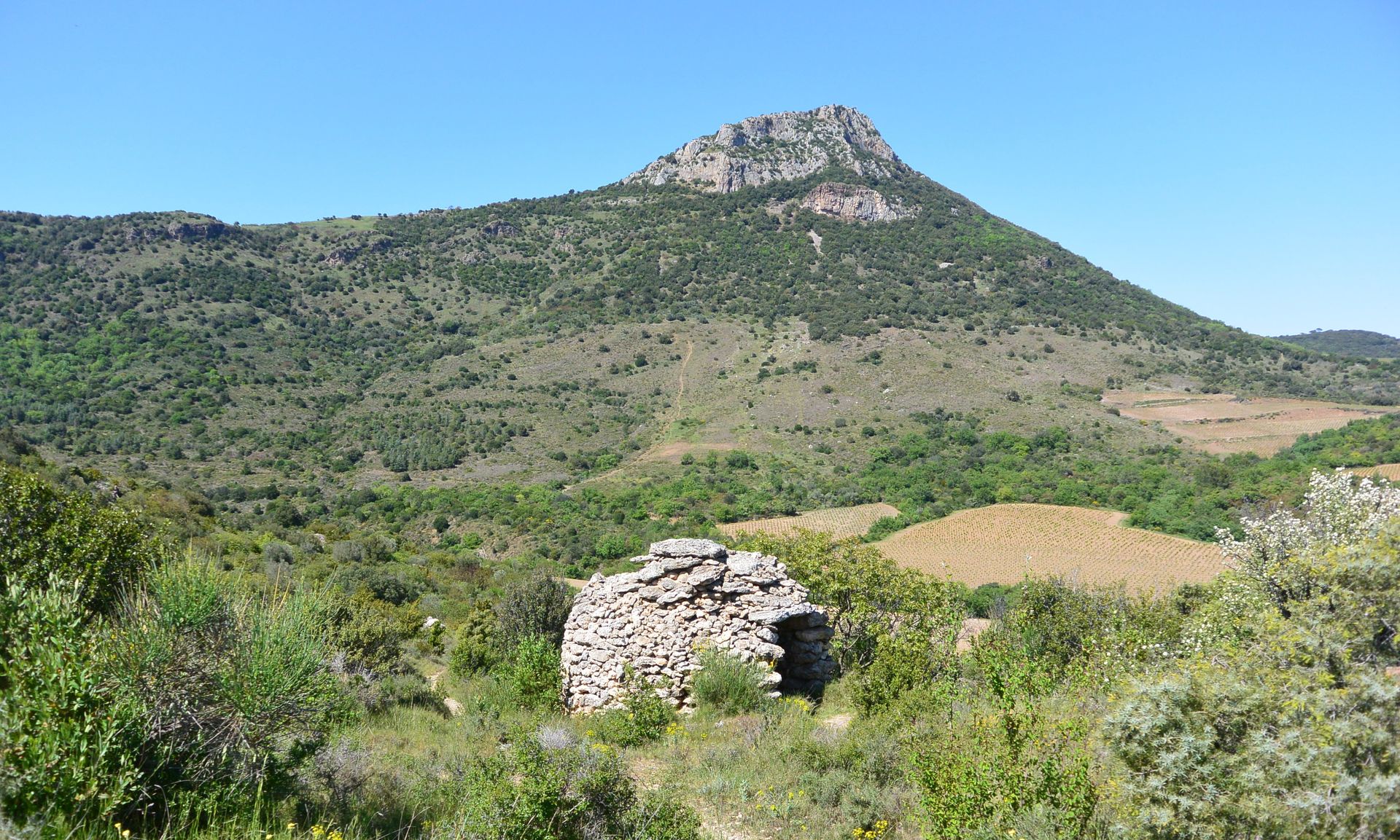 OENORANDO® DES CRETES DE VISSOU Cabrières Occitanie