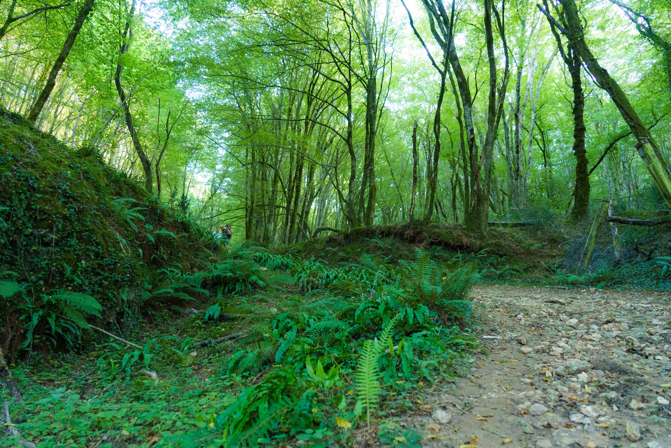 Parcours trail Le Bugue n°2 Montignac-Lascaux Nouvelle-Aquitaine