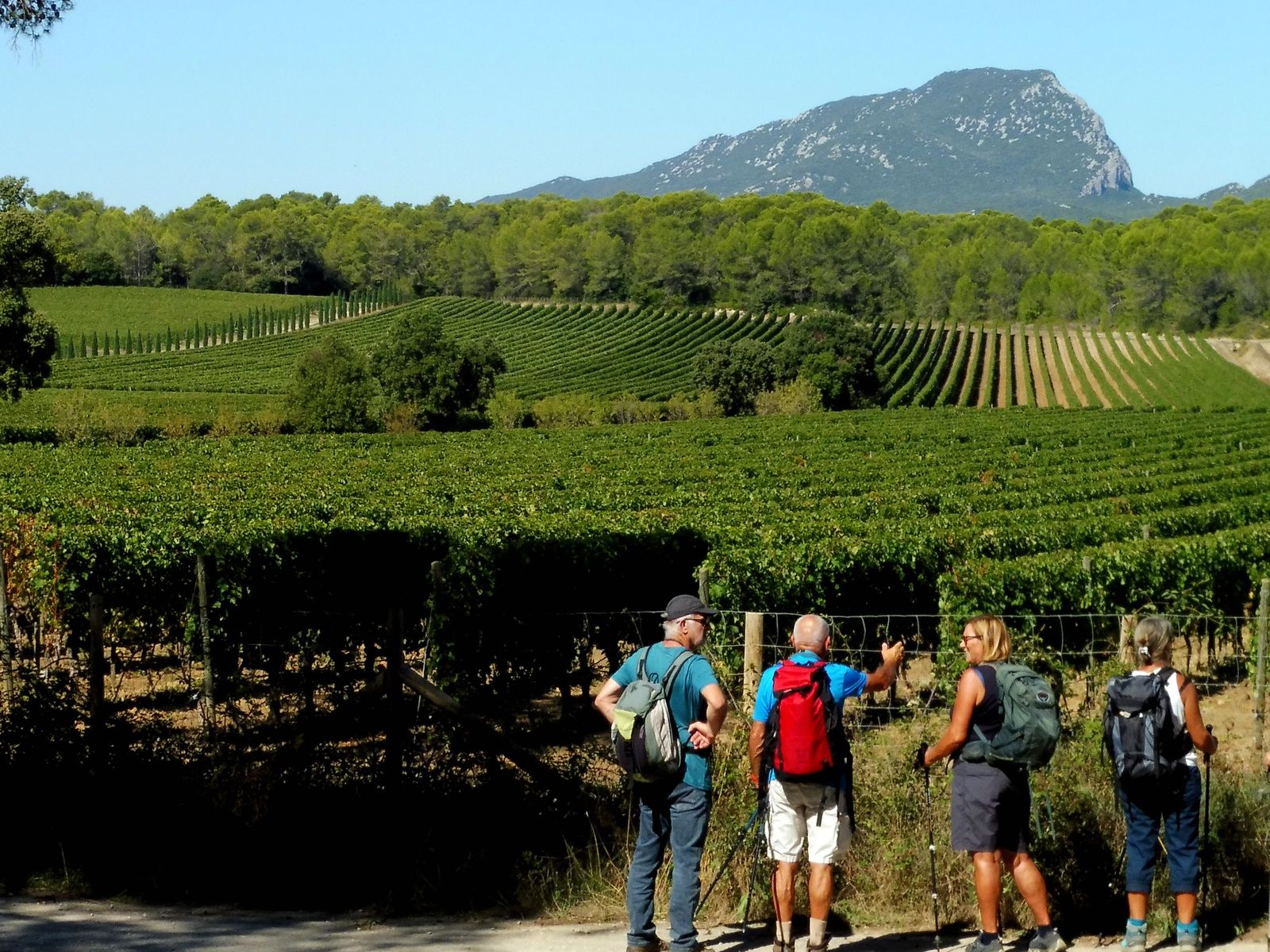 OENORANDO® ENTRE GRÉS DE MONTPELLIER ET PIC SAINT-LOUP Assas Occitanie