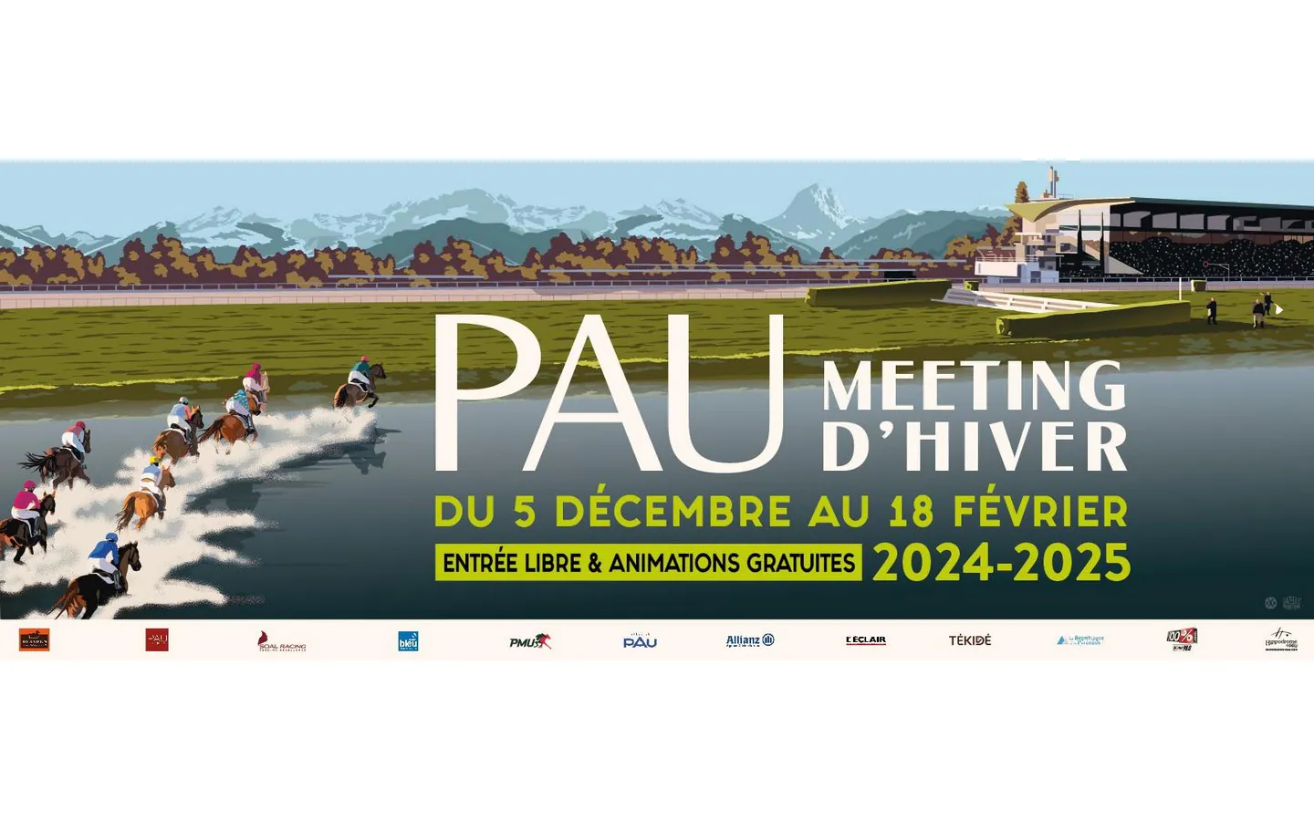 Course Hippodrome de Pau Meeting d'Hiver