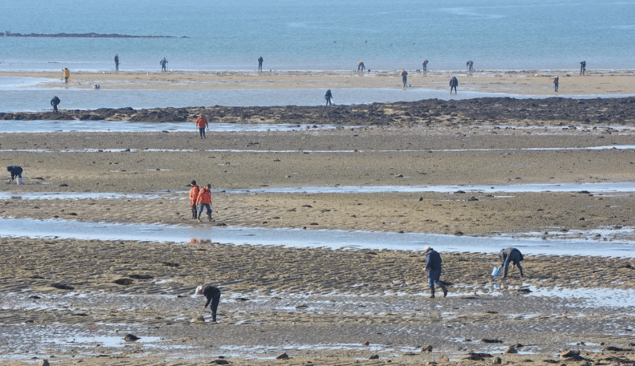 pêche à pied - drone