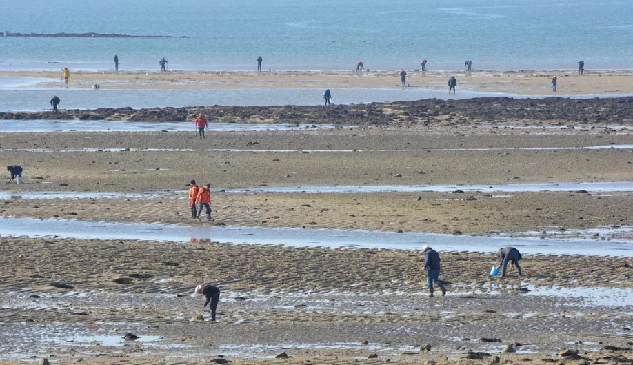 pêche à pied - drone