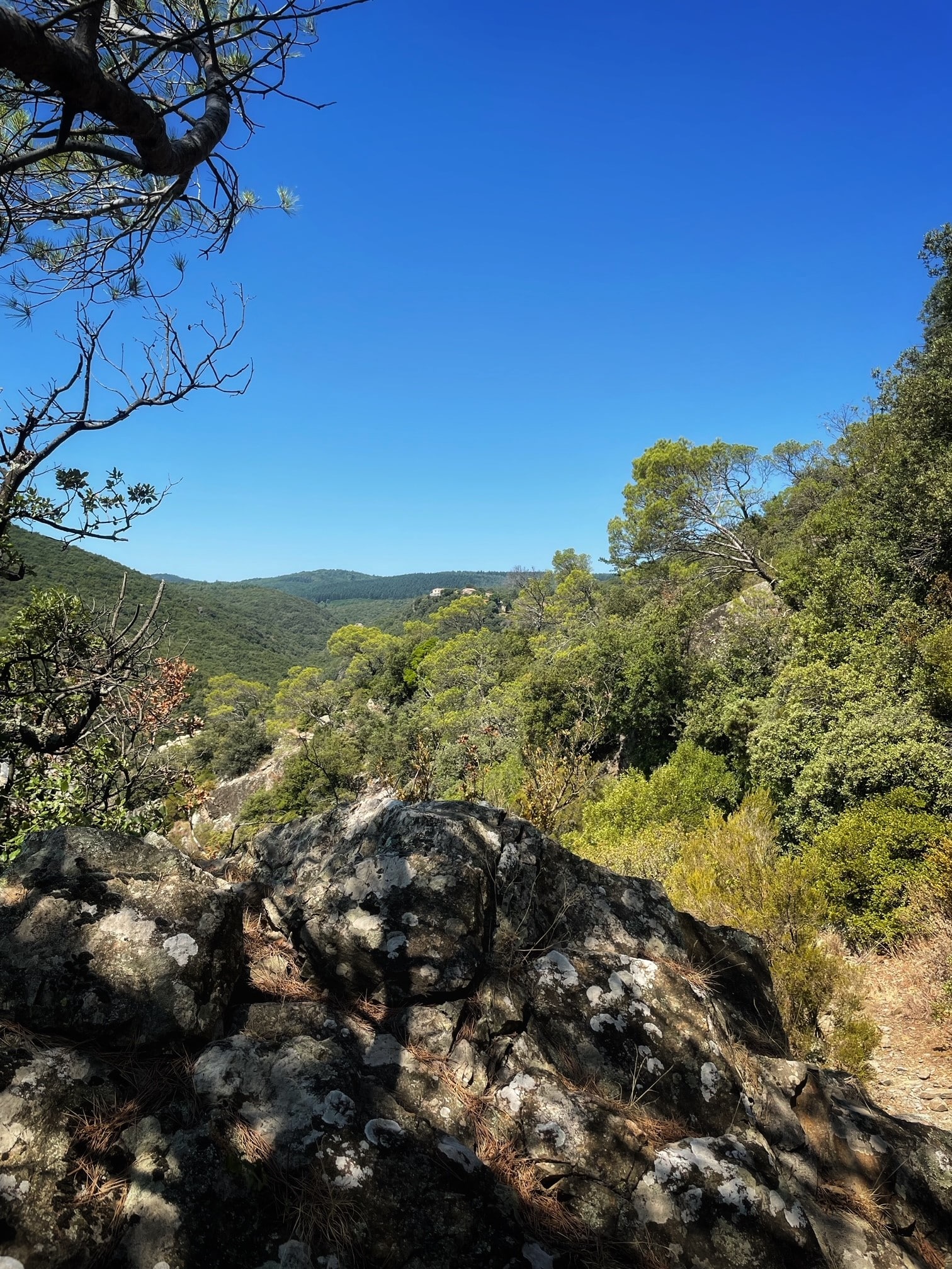 RANDONNÉE AUTOUR DE LA SOURCE DE MALIBERT Babeau-Bouldoux Occitanie