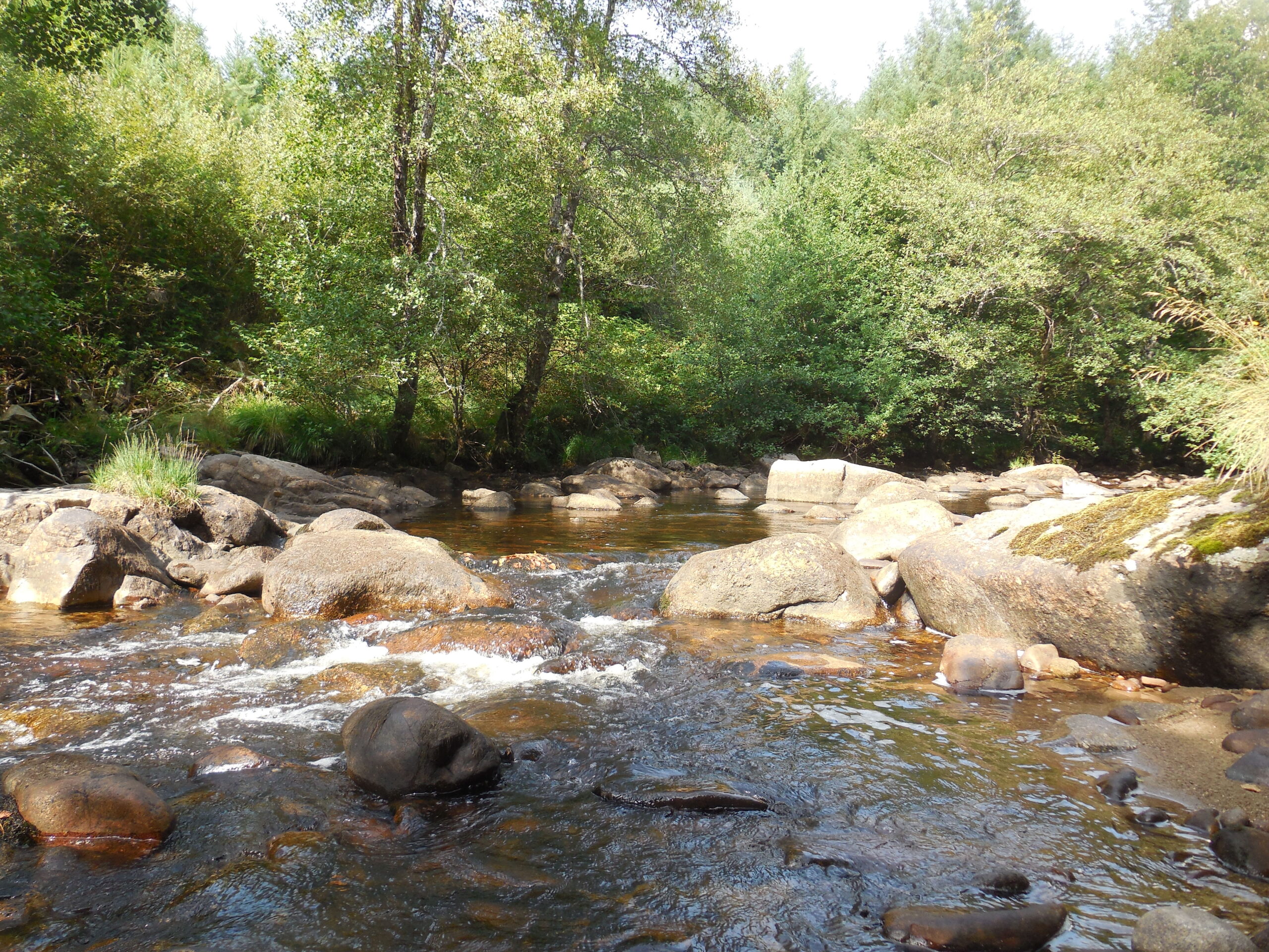 Le bois de Chaleix Bugeat Nouvelle-Aquitaine