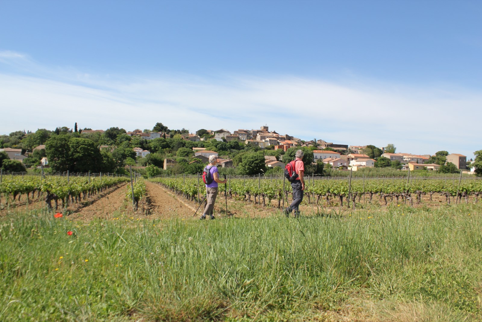 OENORANDO® LA THONGUE ET SES COTEAUX Abeilhan Occitanie