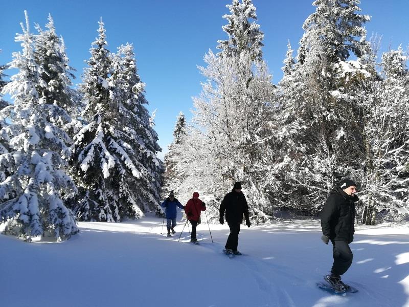 BALADE RAQUETTES AUX AURORES ET BRUNCH EN FERME AUBERGE