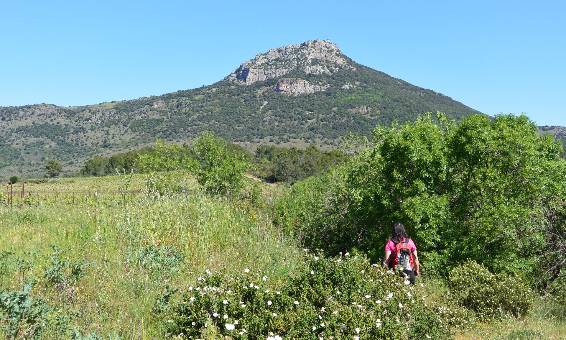 RANDONNEE LE VISSOU SE RACONTE Cabrières Occitanie