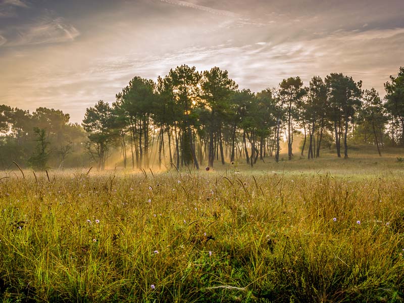 Les puys du Chinonais Chinon Centre-Val de Loire