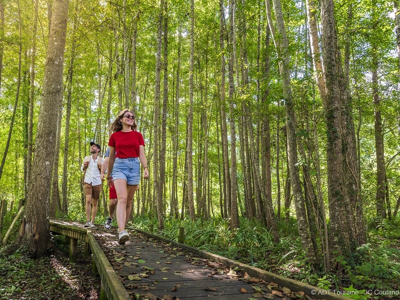 Le chemin de la Petite Choisille Randonnée en Nord-Touraine Charentilly Centre-Val de Loire