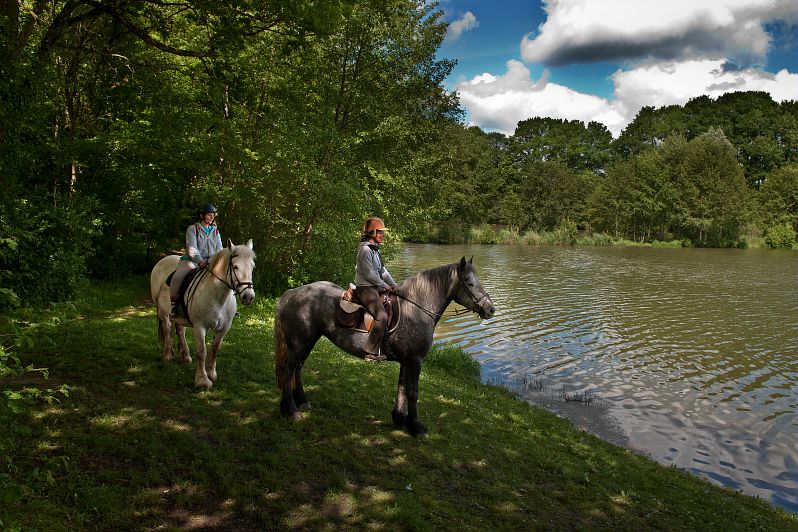 Sur les traces des Templiers... à cheval Couëtron-au-Perche Centre-Val de Loire