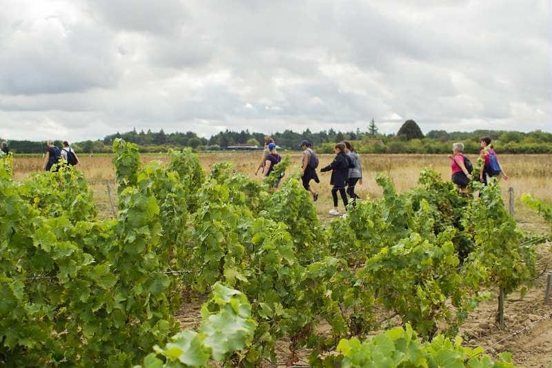 Circuit des Bernadettes Monthou-sur-Bièvre Centre-Val de Loire