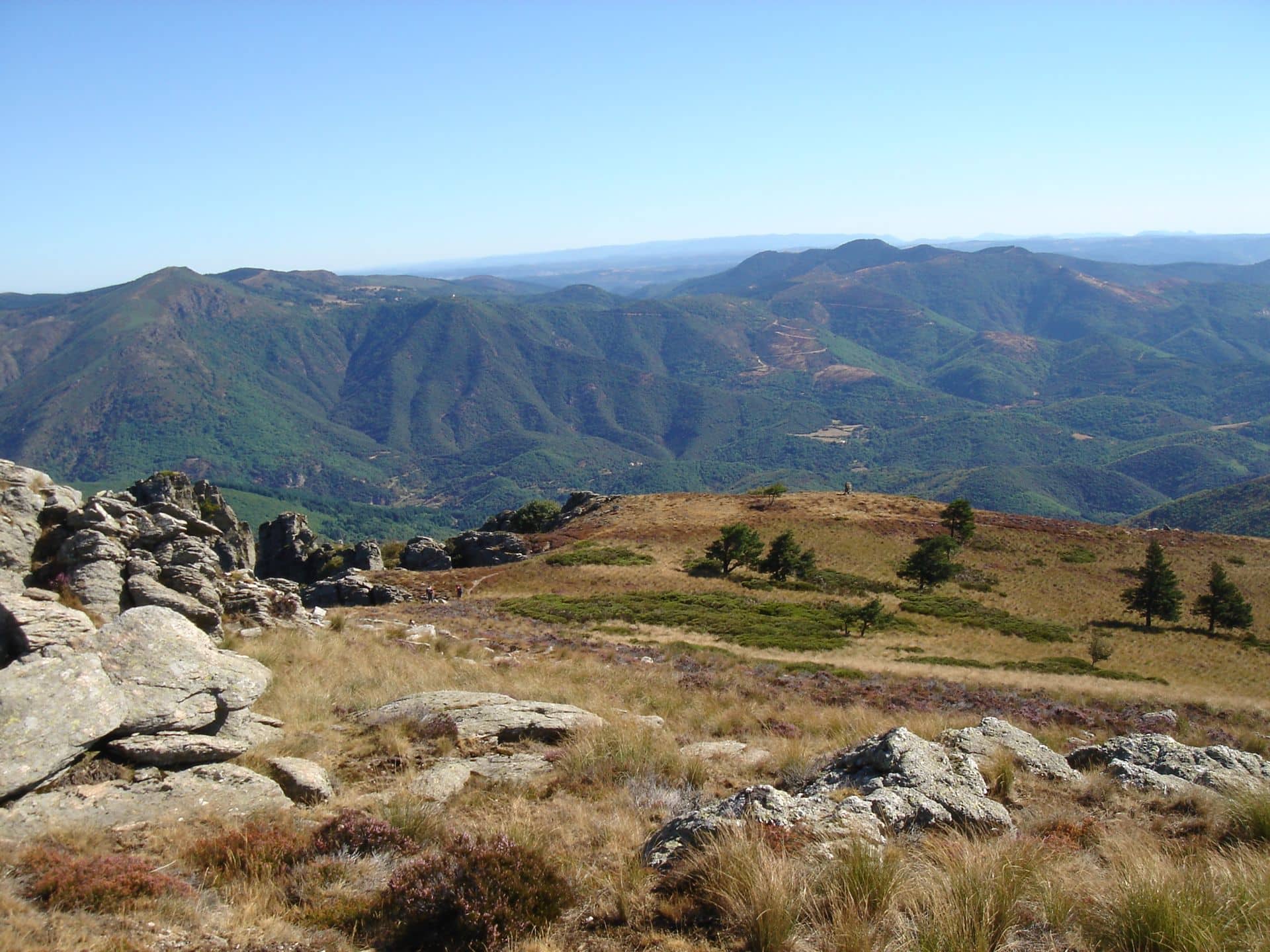 RANDONNEE DE LA LAUZE La Salvetat-sur-Agout Occitanie RANDONNEE DE LA LAUZE La Salvetat-sur-Agout Occitanie