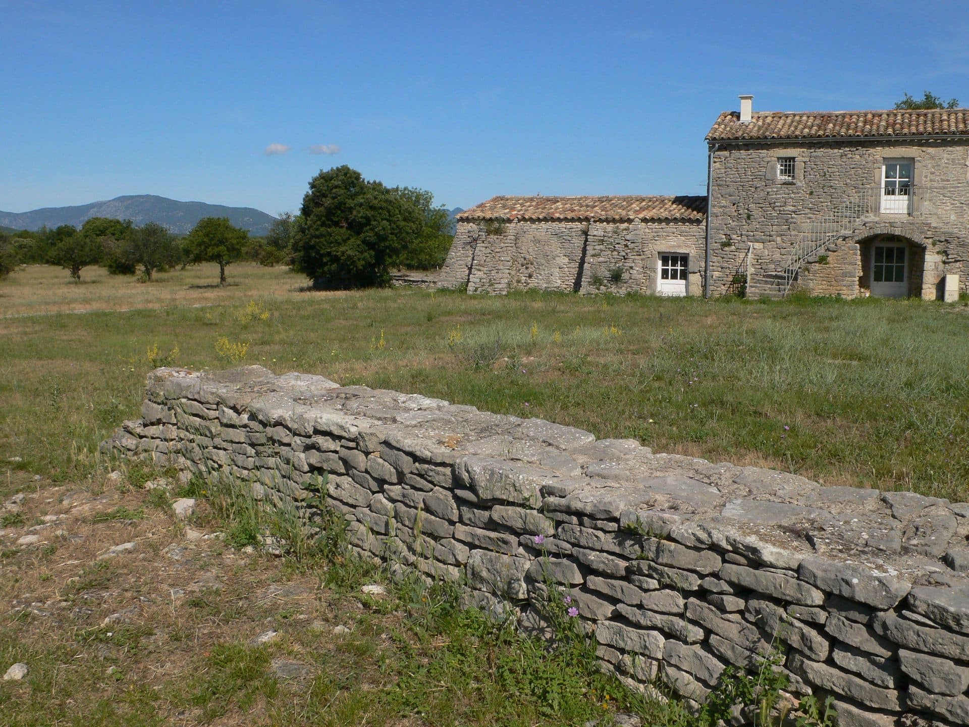 RANDONNEE DES ASPHODELES Ferrières-les-Verreries Occitanie