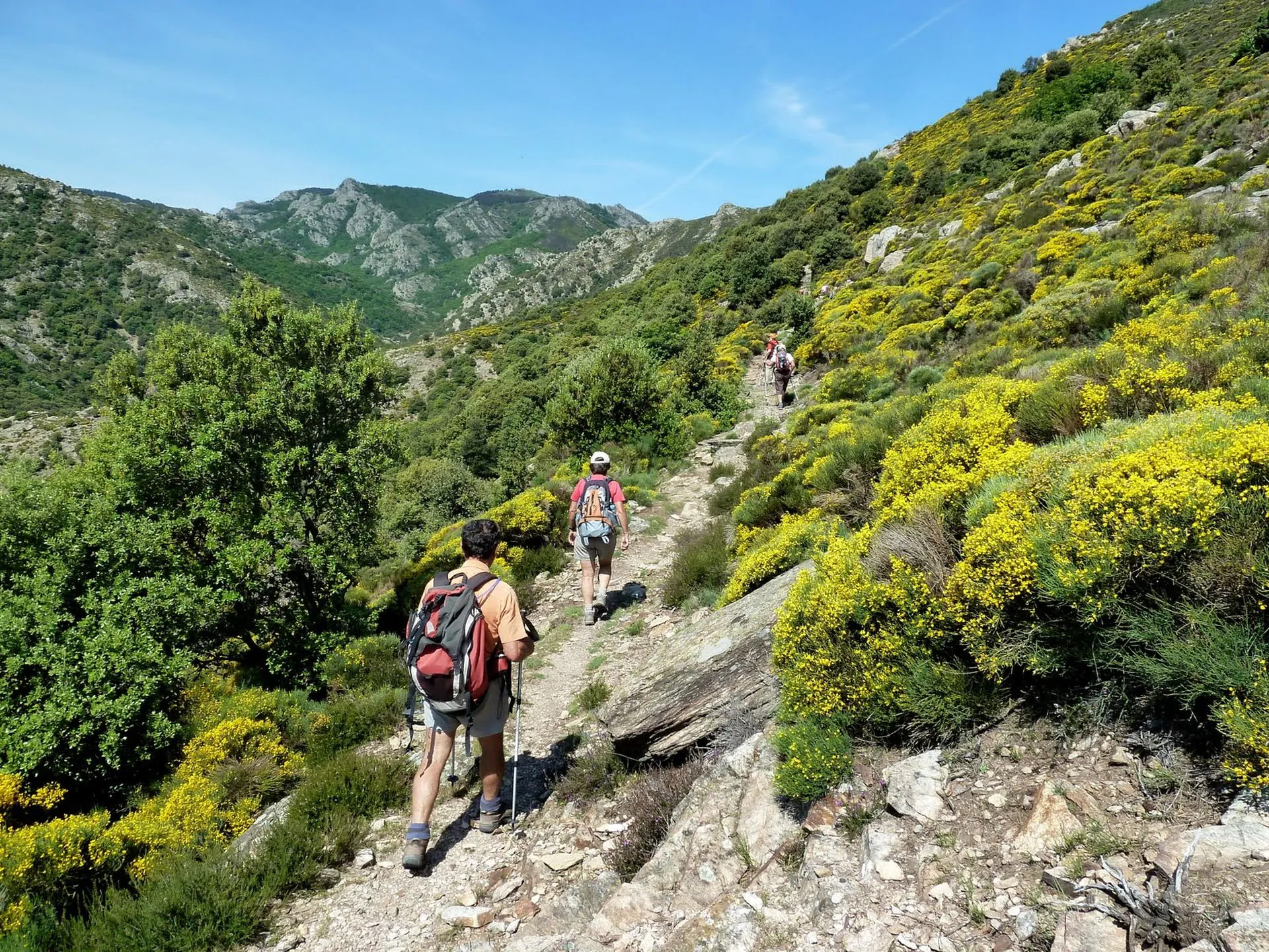 RANDONNEE DES BANISSOUS Saint-Gervais-sur-Mare Occitanie