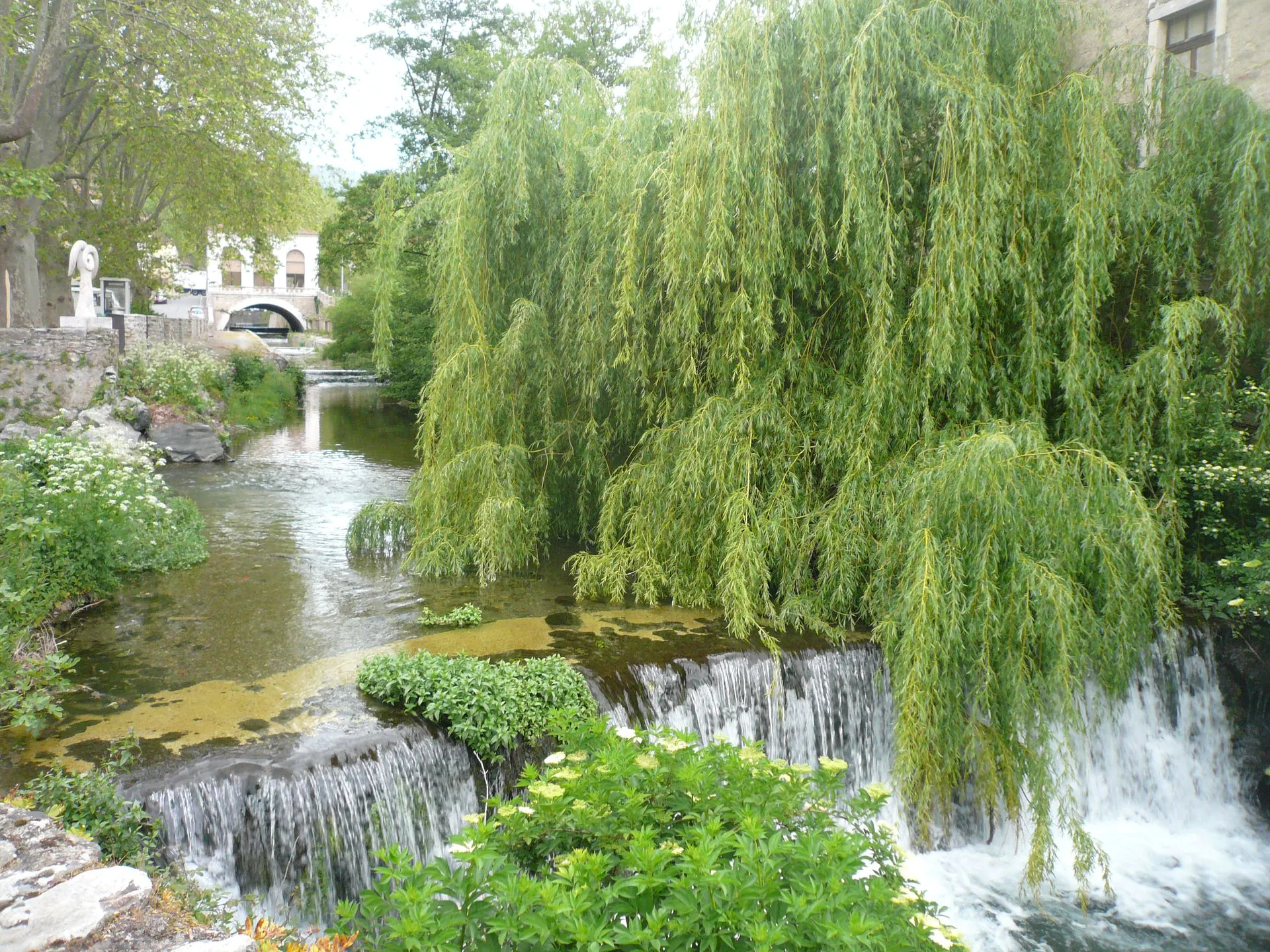 RANDONNEE DES PALOMBIERES DE SAINT PONS Saint-Pons-de-Thomières Occitanie