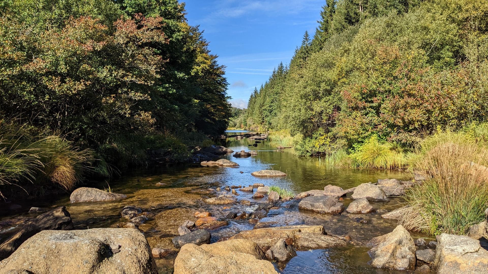 RANDONNEE DES PLANQUES La Salvetat-sur-Agout Occitanie