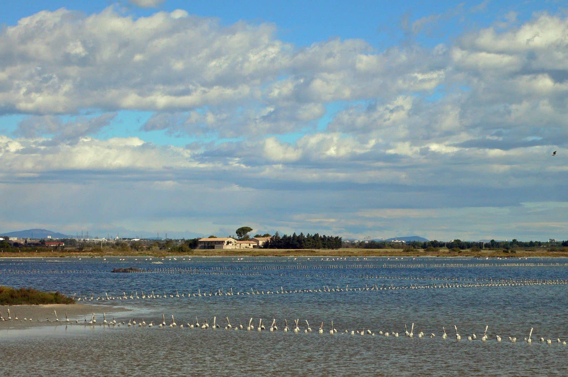 RANDONNEE DES SALINES Villeneuve-lès-Maguelone Occitanie