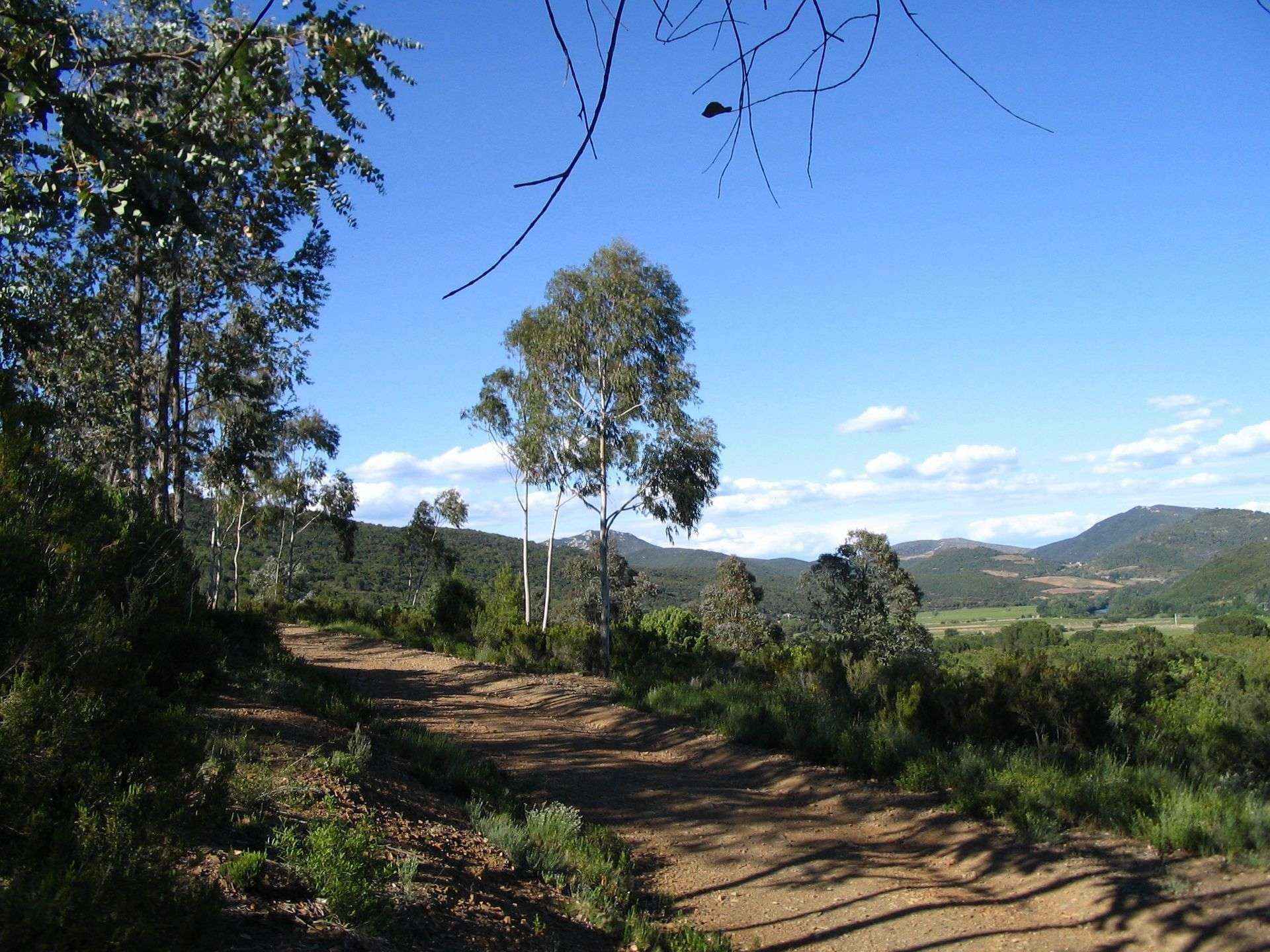 RANDONNÉE DU BOIS DES EUCALYPTUS Cessenon-sur-Orb Occitanie