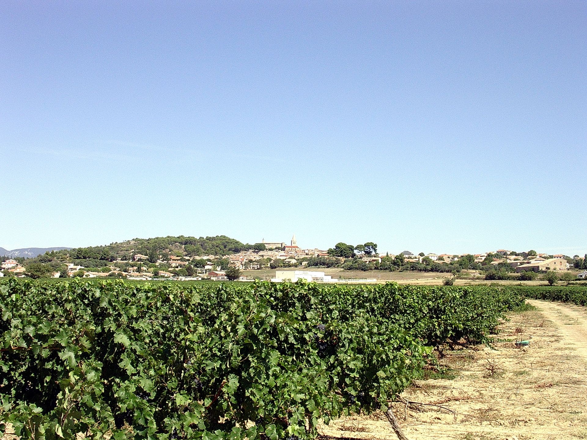 RANDONNEE DU PECH BELET Murviel-lès-Béziers Occitanie