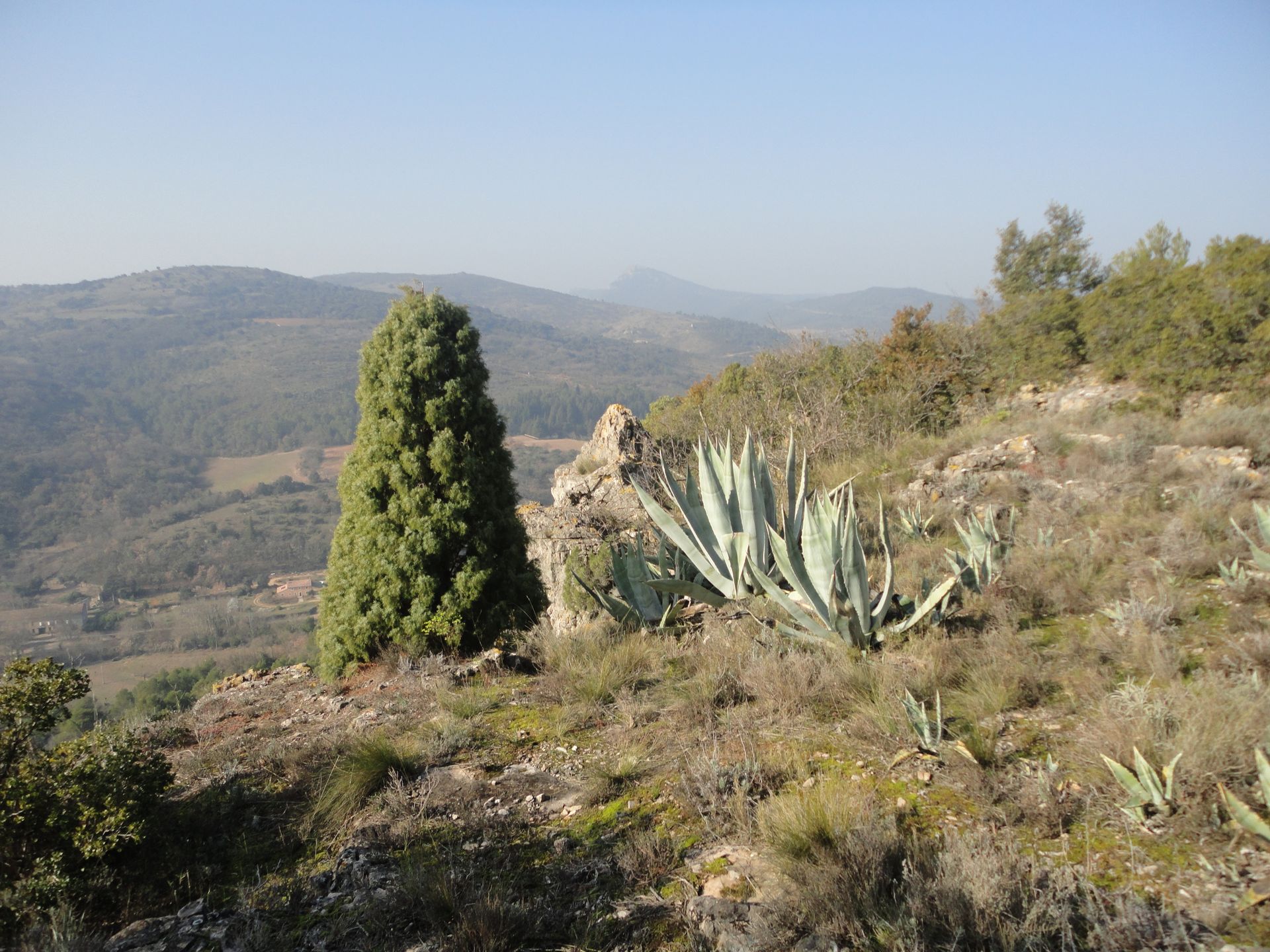 RANDONNEE DU SENTIER DES GARRIGUES Nébian Occitanie