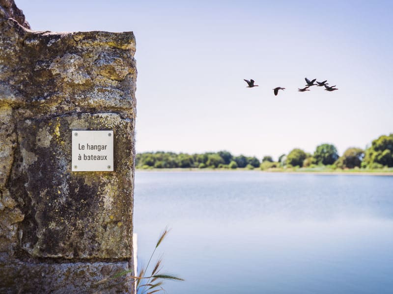 Randonnée de l'étang du Louroux Le Louroux Centre-Val de Loire