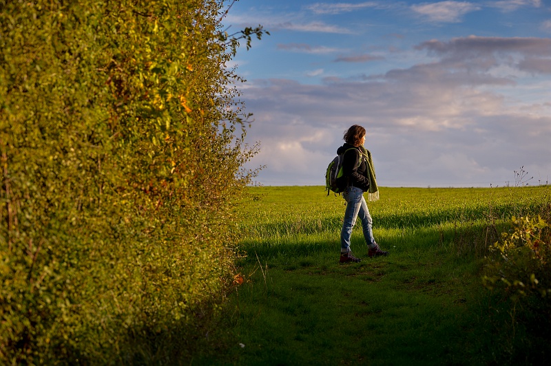 Entre Loir et étangs Saint-Hilaire-la-Gravelle Centre-Val de Loire