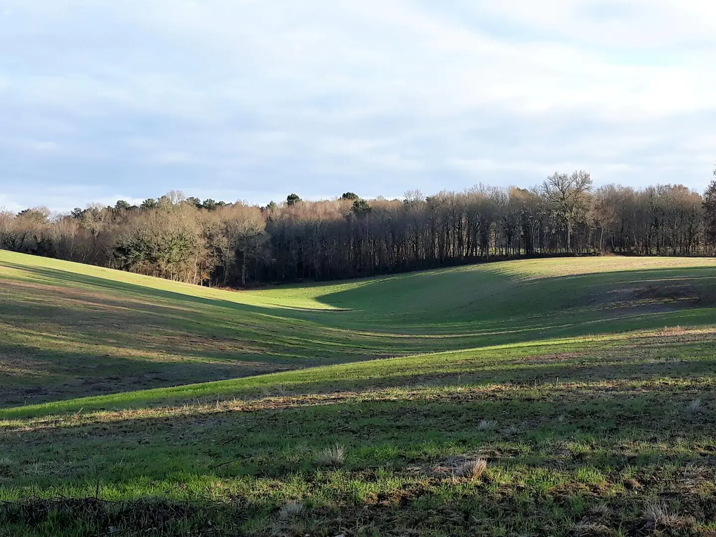 Balade de la biodiversité Boucle de l'Herm n° 34 /Rouffignac Rouffignac-Saint-Cernin-de-Reilhac Nouvelle-Aquitaine