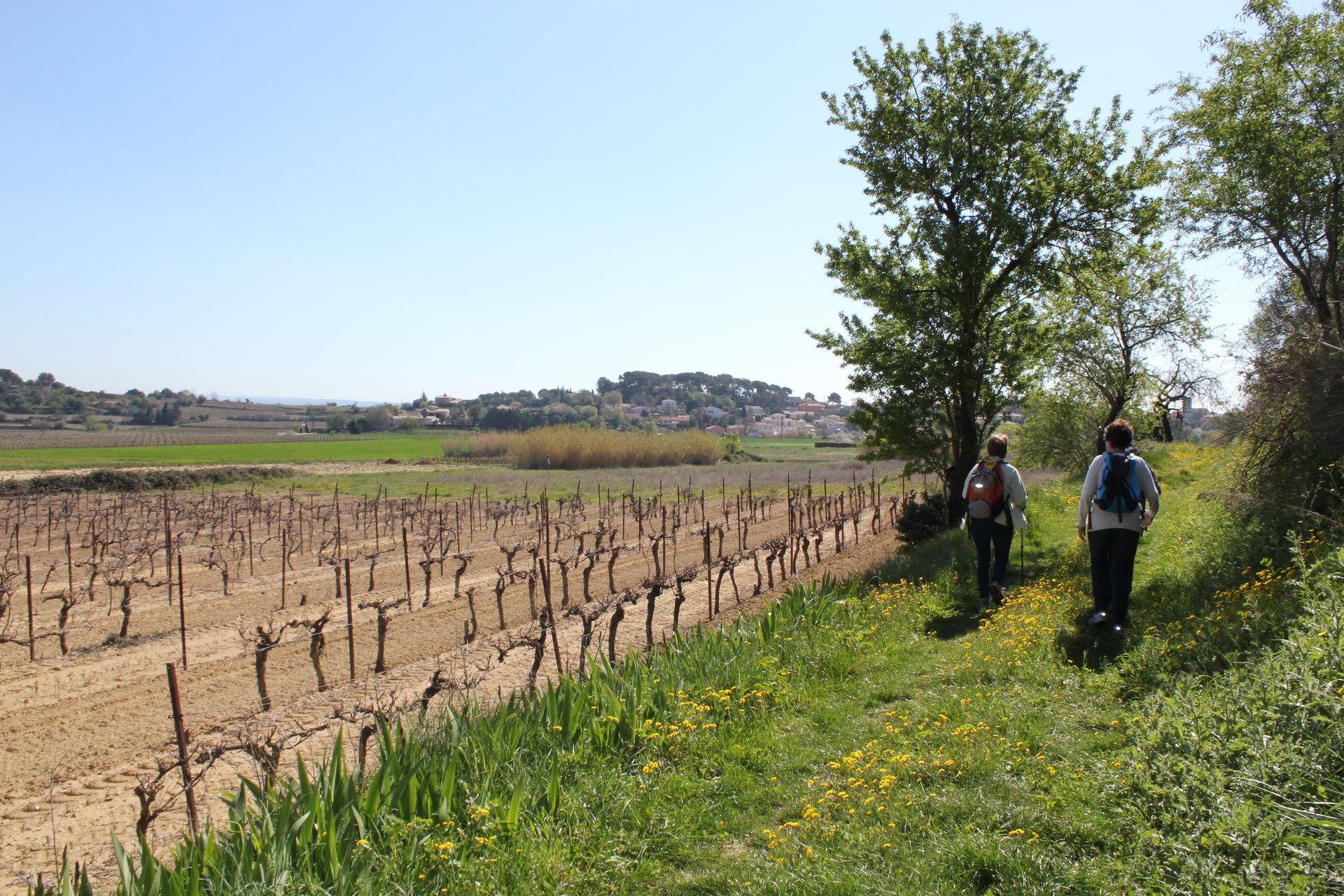 OENORANDO® DES BALCONS D'ALIGNAN DU VENT Alignan-du-Vent Occitanie