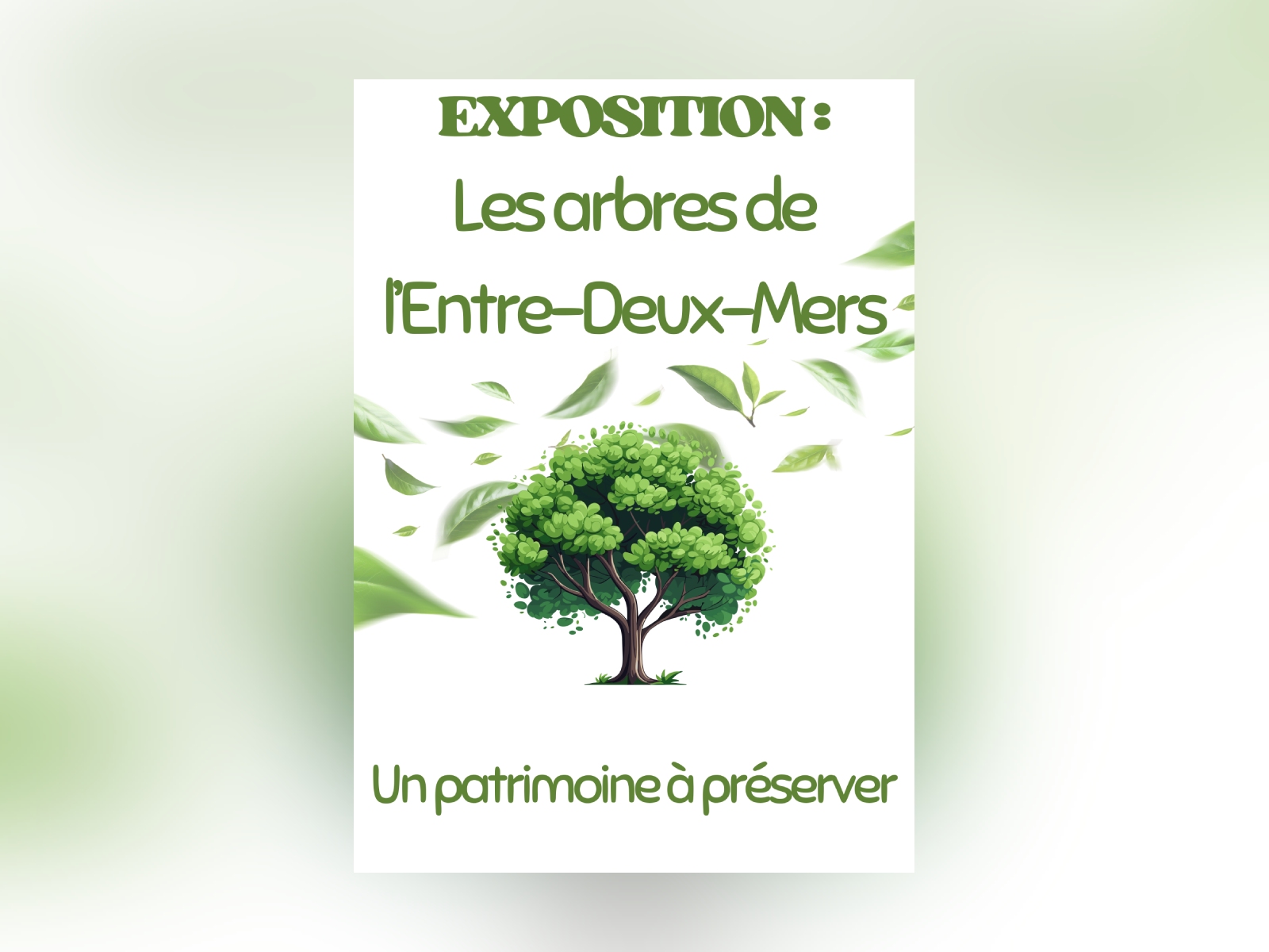 Exposition permanente Les arbres de l'Entre-deux-Mers