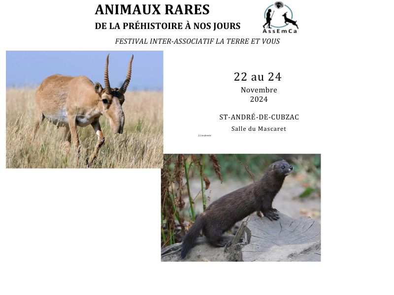 Animaux rares de la préhistoire à nos jours Festival inter-associatif La Terre et Vous